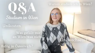 Q&A I Fragen zum Studium in Wien I Unikosten, Warum Wien, Berufsvorstellungen, iPad I Kathamariie