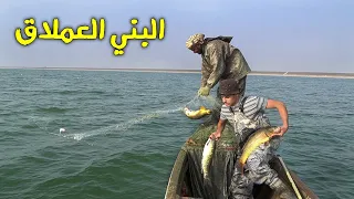 صيد أسماك البني والسمتي في هور الدلمج Fishing