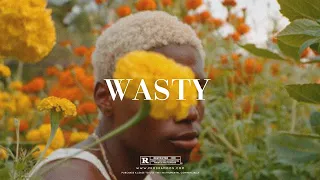 "Wasty" - Rema x Wizkid Type Beat