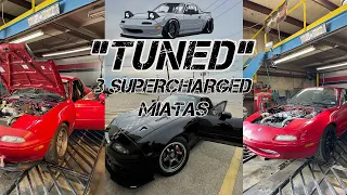 3 TDR Supercharged Miata's on the Dyno! Which setup would you pick? (BPE8/BP05/BP4W)