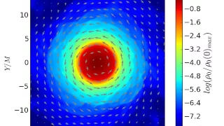 Triaxial star