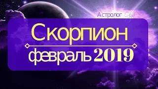 Гороскоп для СКОРПИОНА ♏ на Февраль 2019 от Астролога Olga