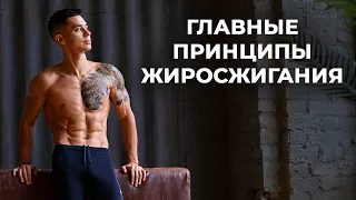 КАК УБРАТЬ ЖИВОТ И ПОХУДЕТЬ? Главные принципы жиросжигания!