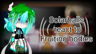 Solarballs react to Fruiting bodies (EP.1)