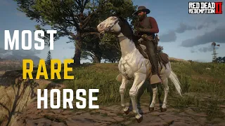 5 Most Rare Horses & there spawn locations! │Part 2 │ Red Dead Redemption 2