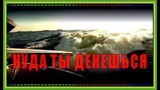 Т.Маргай "КУДА ТЫ ДЕНЕШЬСЯ"