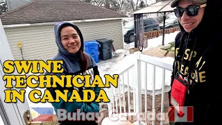 PAANO MAKAPUNTA DITO SA CANADA BILANG SWINE TECHNICIAN | BUHAY CANADA | ATOY SULIT