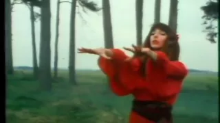 Kate Bush - Wuthering Heights - Official Music Video - Version 2