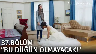 "Bu düğün olmayacak!" | Asla Vazgeçmem 37.Bölüm