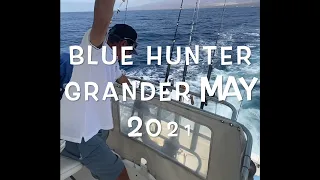 Grander Blue Hunter