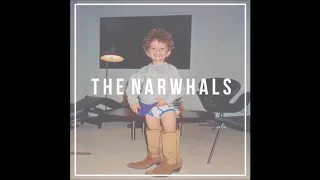 the narwhals  all the places