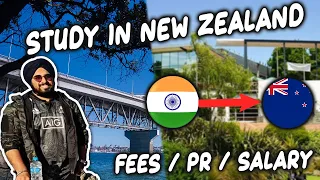 Study in New Zealand! Fees, Scholarships, Salary! Diploma vs Degree!