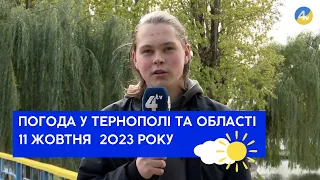 Тернопільська погода на 11 жовтня 2023 року