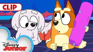 Bluey Season 3 Episode 13 "Pass the Parcel" Episode Clip | @disneyjunior | @BlueyOfficialChannel