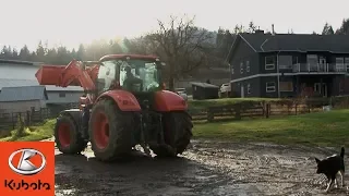 This BC dairy farmer relies on the M7-1 to get any job done | Kubota M7 Testimonial