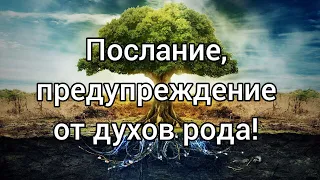 Что духи рода хотят передать или предупредить? Таро расклад!