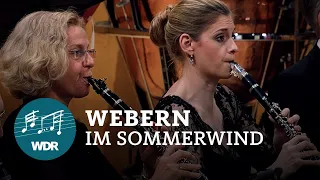 Anton Webern - Im Sommerwind | WDR Symphony Orchestra | Jukka-Pekka Saraste