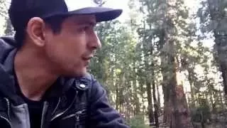 Trees bigger than the Matterhorn - Mariposa Sometimes Vlog