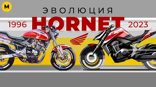 Во что превратили Хорнет за 27 лет? | История Honda Hornet