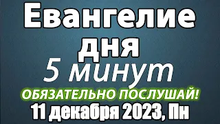 Евангелие дня с толкованием 11 декабря 2023 года Понедельник Чтимые святые. Церковный календарь