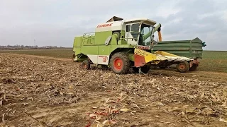 Kukorica aratás {2016} -fendt favorit 716 . Claas Dominator 76| Corn Harvest 2016