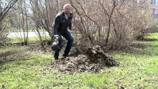 Почему опасен весенний пал прошлогодней травы