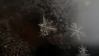 The Birth of a Snowflake Snowflake forming