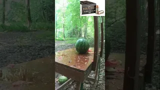 🍉Watermelon Test🍉 - 10mm, .357 Sig, .45 ACP & .40 S&W