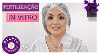 QUARTA GRAVIDEZ POR FERTILIZAÇÃO IN-VITRO MEU POSITIVO - FLÁVIA CALINA