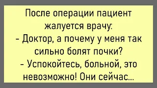 🤡Молодожёны Договорились,Что Если ...Большой Сборник Смешных Анекдотов,Для Супер Настроения!