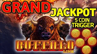 💵 I WON THE GRAND JACKPOT! BUFFALO LINK SLOT MACHINE LIVE PLAY 1st ON YOUTUBE AT THE WYNN LAS VEGAS