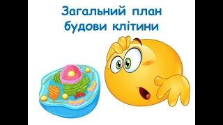 Загальний план будови клітини