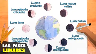 Cómo dibujar las fases lunares paso a paso