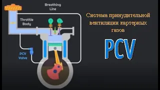 Система принудительной вентиляции картерных газов и клапан PCV