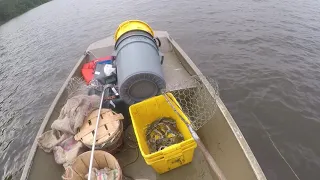 2020 md commercial crabbing