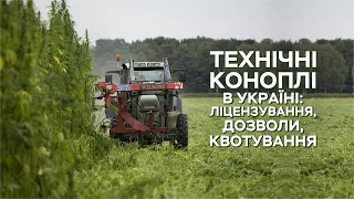 Законодавче регулювання вирощування технічних конопель в Україні