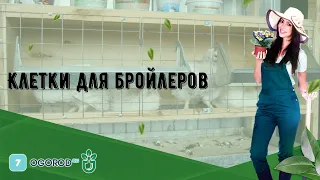 Клетки для бройлеров