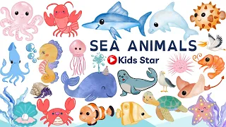 BELAJAR MENGENAL NAMA NAMA HEWAN LAUT | LEARNING SEA ANIMALS NAME | OCEAN ANIMALS NAME BINATANG LAUT