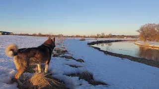 С Каюром на реке