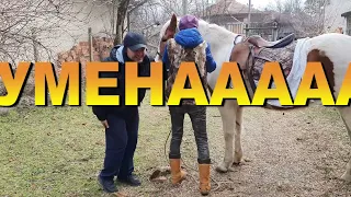 Да хванеш гората, конна езда 😀😀😀😀😀