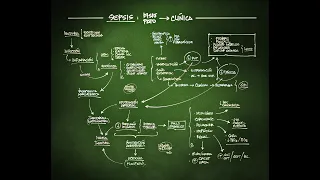 SEPSIS: fisiopatología y clínica.