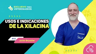 Usos e indicaciones de la Xilacina