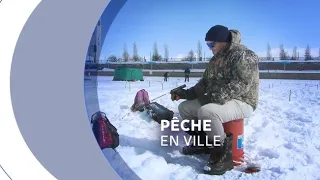 Engouement pour la pêche urbaine : des dizaines d’espèces de poissons comestibles