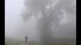 Im  Nebel   -   Gedicht  von  Hermann  Hesse