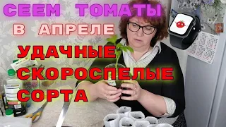 Сеем томаты в апреле  Удачные скороспелые сорта