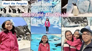 SeaWorld Abu Dhabi Meet the Penguins at Antarctica Polar Ocean | Newly Opened Area at SeaWorld Yas