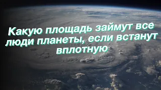 Какую площадь займут все люди планеты, если встанут вплотную