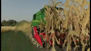 koszenie kukurydzy na ziarko