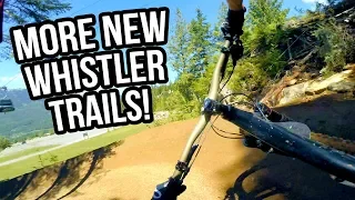 Insomnia Whistler Bike Park - MORE New Blue Trails!