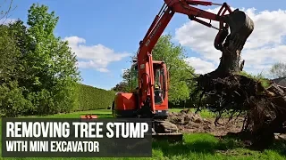 Removing a tree stump with a Kubota Mini Excavator